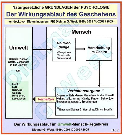 Naturgesetzliche Grundlagen der Psychologie: Der Wirkungsablauf Umwelt-Mensch (Darstellung 2).