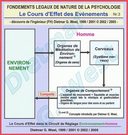 Fondements legaux de nature de la psychologie: Le cours d'effet environnement-homme (Représentation Nr. 3)