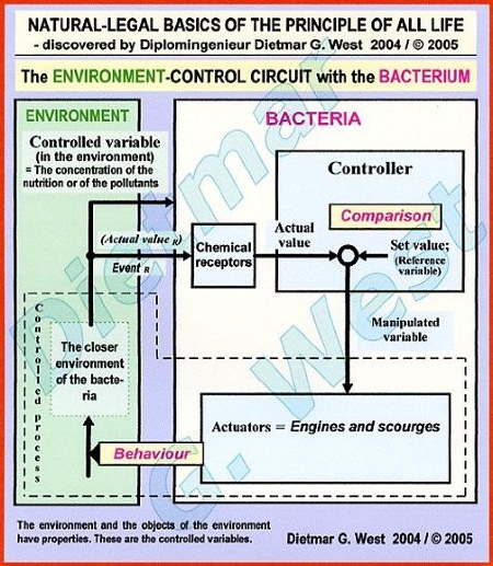 The natural-legal basics of the PRINCIPLE OF ALL LIFE: The ENVIRONMENT-CONTROL CIRCUIT with the BACTERIA.