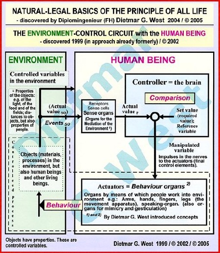 The natural-legal basics of the Principle of all Life: The ENVIRONMENT-CONTROL CIRCUIT with the HUMAN BEING.